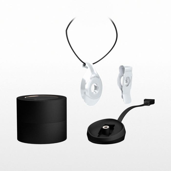 Персональний голосовий асистент Senstone із Smart AI (iOS та Android ) (Silver)