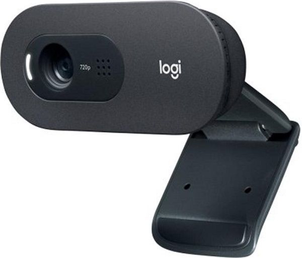 Камера Веб-камера Logitech C505e HD (960-001372)