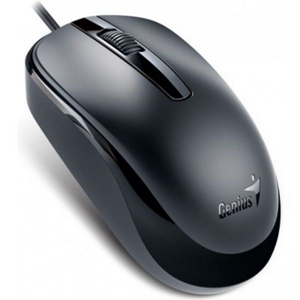 Мишка Mouse Genius DX-120 USB Black USB (31010105100)