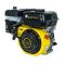 Двигун бензиновий Кентавр ДВЗ-200Б1Х