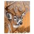 Картина за номерами Strateg ПРЕМІУМ Оленя з лаком розміром 40х50 см VA-2044