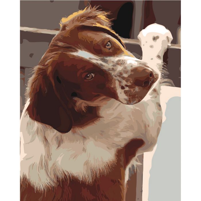 Набір для розпису по номерах SY6444 "Відданий погляд", розміром 40х50 см