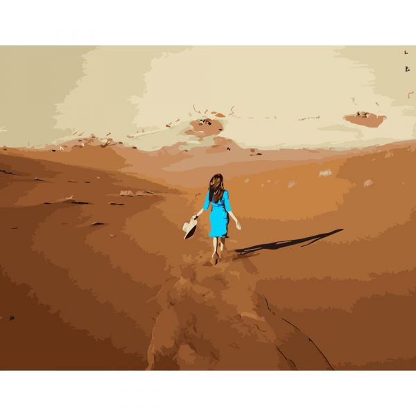 Набір для розпису по номерах Прогулянка пустелею Strateg розміром 40х50 см (DY057)