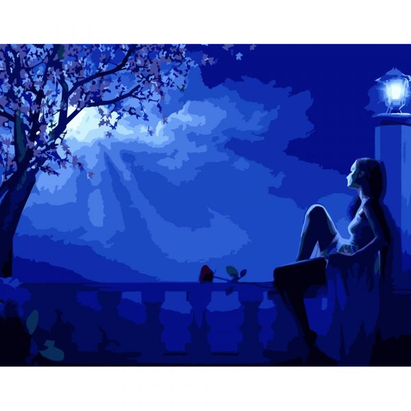 Набір для розпису по номерах Нічні думки Strateg розміром 40х50 см (DY216)