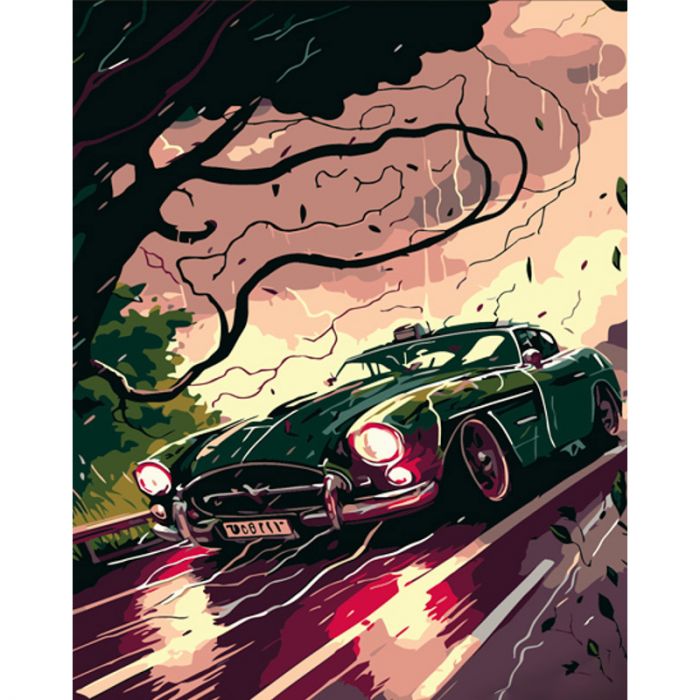 Набір для розпису по номерах Швидкість попри вітер Strateg розміром 40х50 см (DY392)