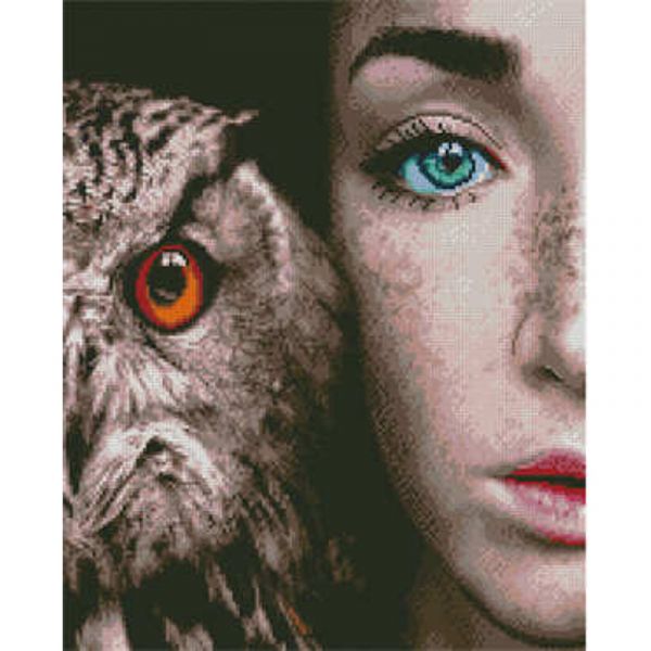 Алмазна картина Strateg ПРЕМІУМ Дівчина із совою розміром 40х50 см (L-210)