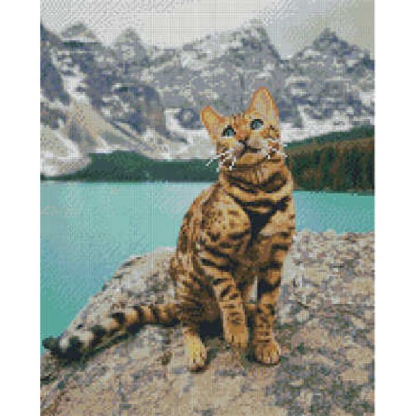 Алмазна картина Strateg ПРЕМІУМ Котик в горах розміром 40х50 см (L-253)