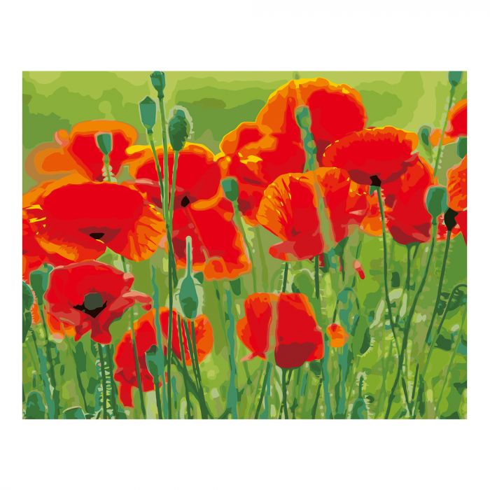 Картина за номерами Strateg Маки у полі на кольоровому фоні розміром 40х50 см (VA-2660)