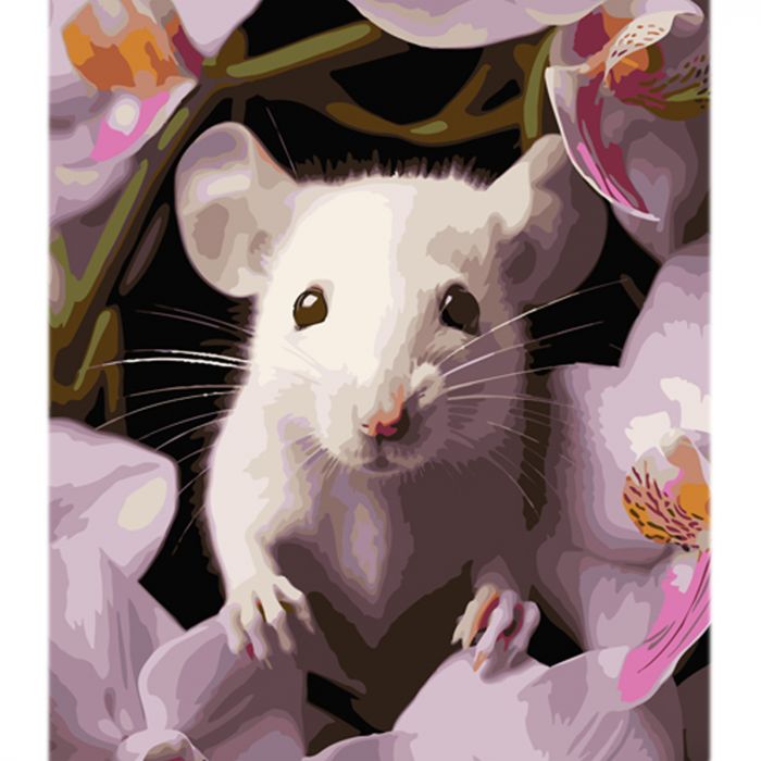 Картина за номерами Strateg Мишеня з орхідеєю на кольоровому фоні розміром 40х50 см (MZ029)