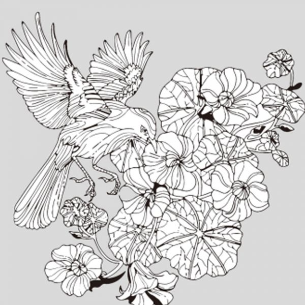 Набір для розпису-антистрес Strateg Пташина гармонія розміром 30х30 см  (JCEE37102)