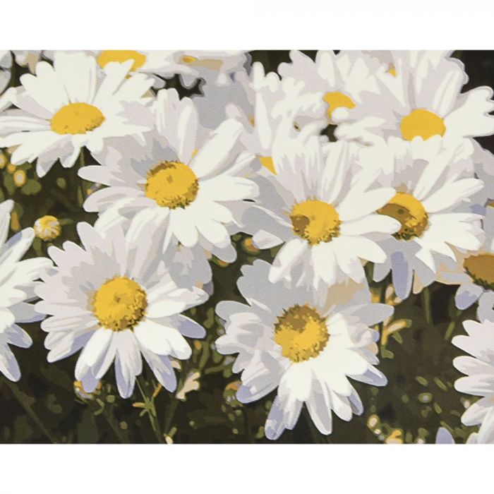 Картина за номерами Strateg ПРЕМІУМ Біла гармонія з лаком та рівнем розміром 40х50 см (VA-4676)