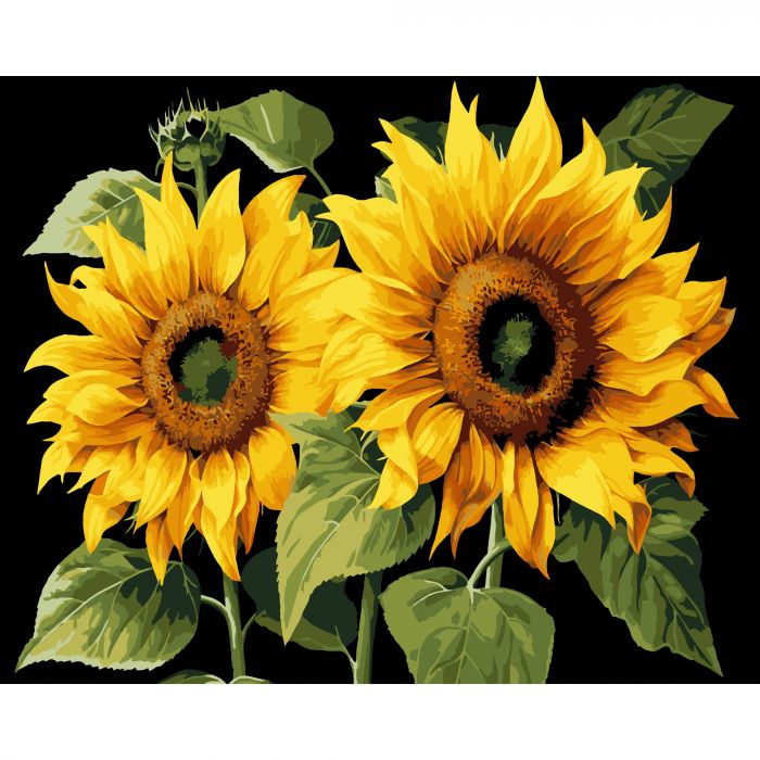 Картина за номерами Strateg ПРЕМІУМ Золото літа на чорному фоні розміром 40х50 см (AH1165)